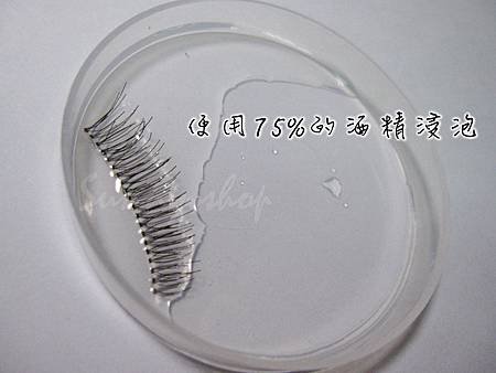 假睫毛教學 012.jpg