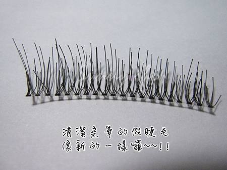 假睫毛教學 019.jpg