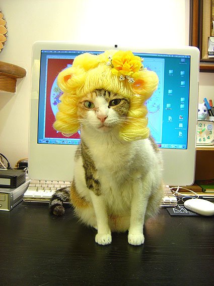 DSC00267.JPG