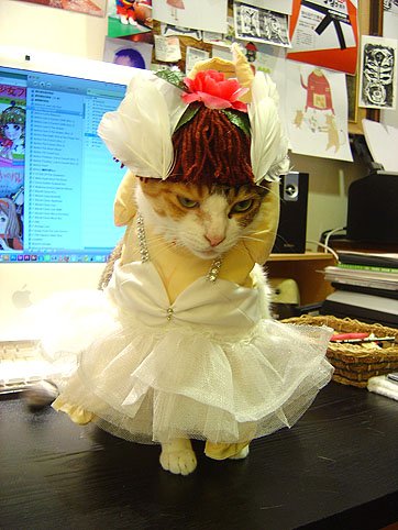 DSC00878.JPG
