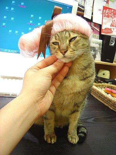 DSC01263.JPG