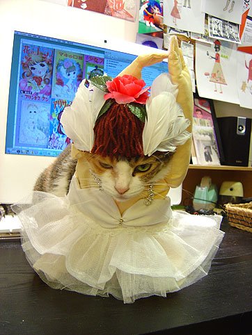 DSC00904.JPG
