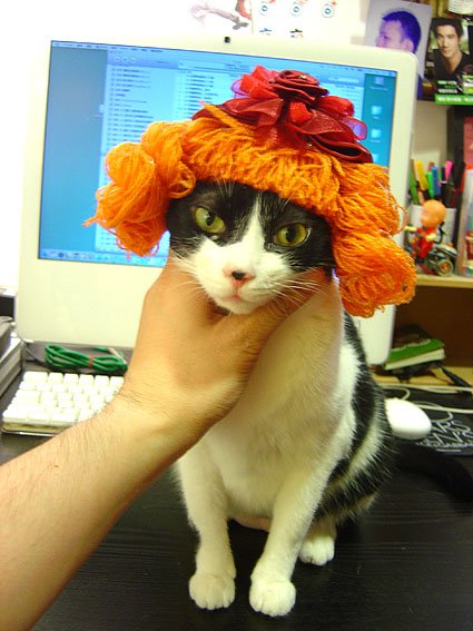 DSC02514.JPG