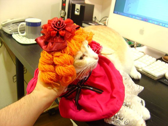 DSC02510.JPG
