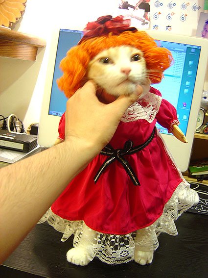 DSC02504.JPG