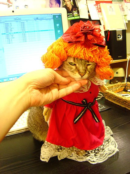DSC02475.JPG