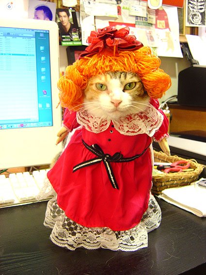 DSC02580.JPG