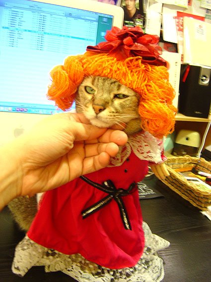 DSC02469.JPG