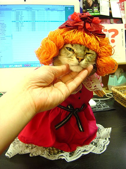 DSC02425.JPG
