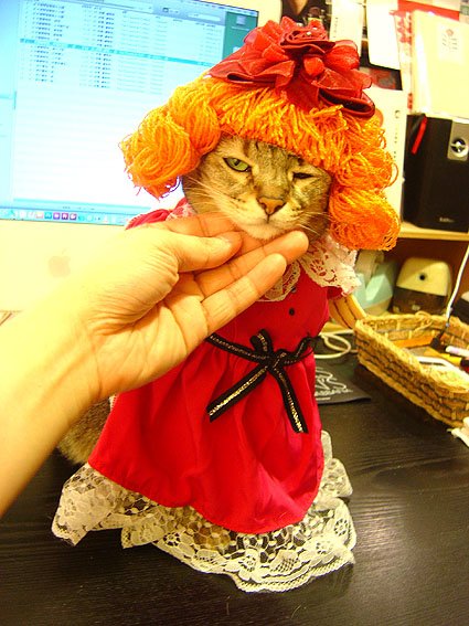 DSC02474.JPG
