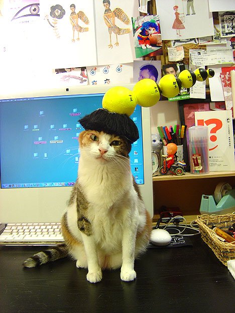 DSC02787.JPG
