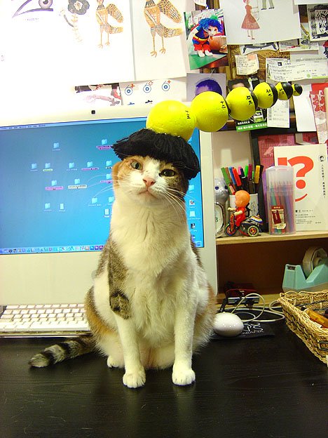 DSC02785.JPG