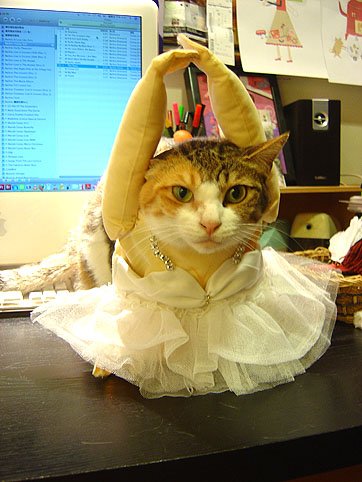 DSC00916.JPG