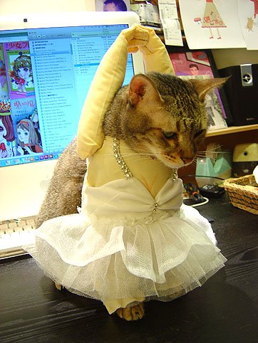 DSC00829.JPG