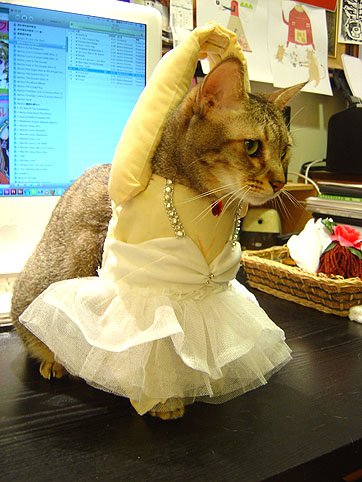 DSC00859.JPG