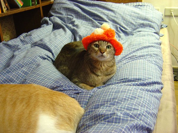 DSC08565.JPG