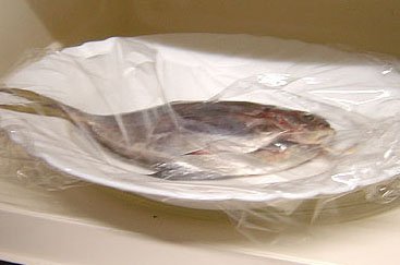 cat-449.jpg