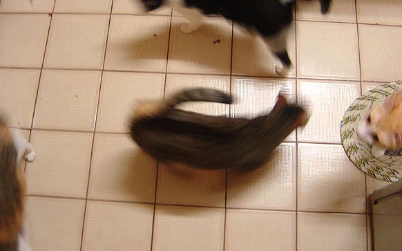 DSC06204.JPG