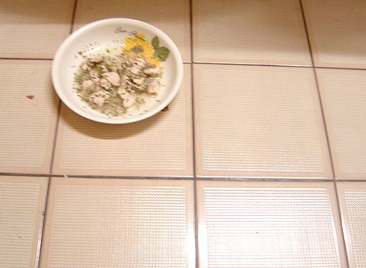 DSC06241.JPG