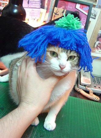 DSC09280.JPG