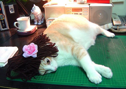 DSC08165.JPG