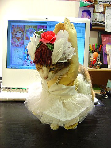 DSC00880.JPG