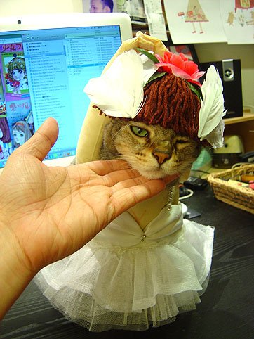 DSC00778.JPG