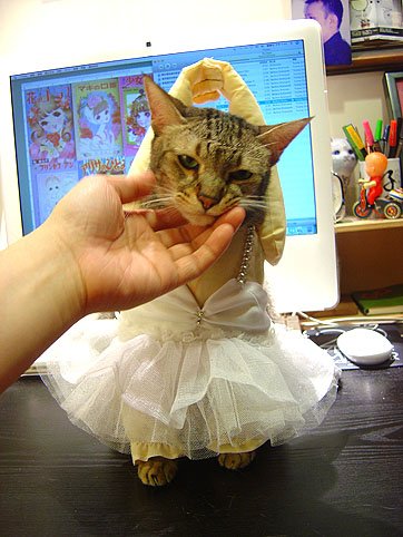 DSC00825.JPG