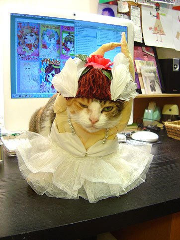 DSC00907.JPG
