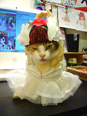 DSC00869.JPG