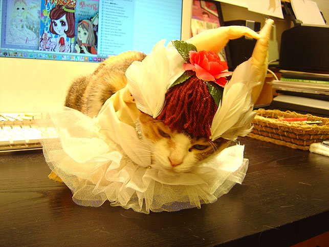 DSC00900.JPG