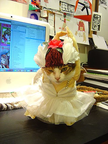 DSC00889.JPG