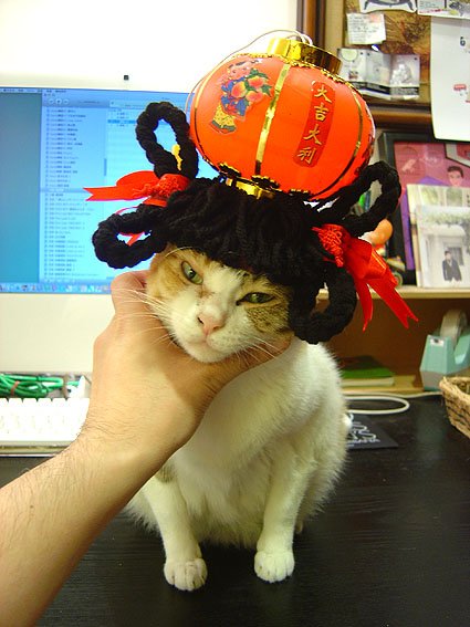 DSC09808.JPG