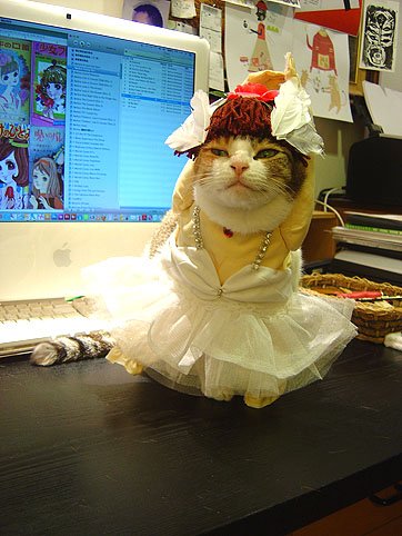 DSC00894.JPG