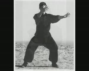 BRUCE LEE 李小龍 GUNG FU JKD[(000975)15-02-03].JPG