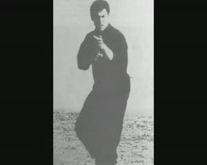 BRUCE LEE 李小龍 GUNG FU JKD[(000263)15-01-35].JPG