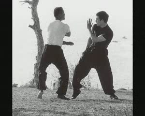 BRUCE LEE 李小龍 GUNG FU JKD[(002952)15-03-22].JPG