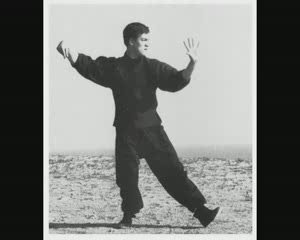 BRUCE LEE 李小龍 GUNG FU JKD[(001079)15-02-07].JPG