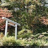 草津到輕井澤－22