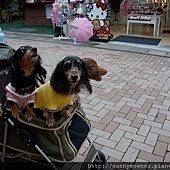 qingjingze－5－street－12