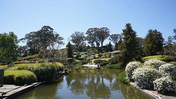 japan garden－38