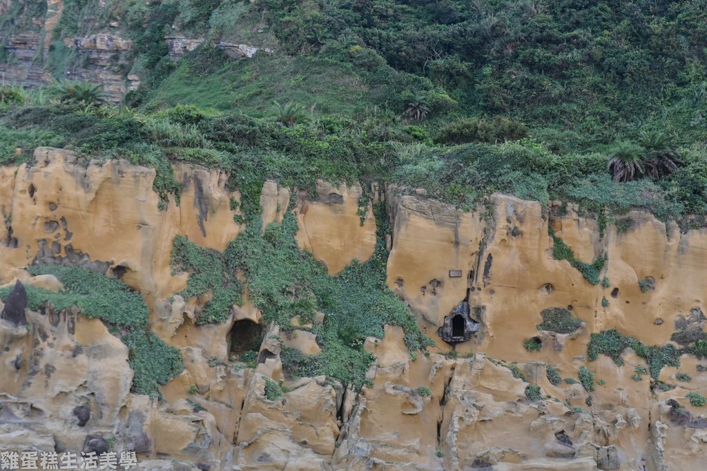 DSC_6160.jpg