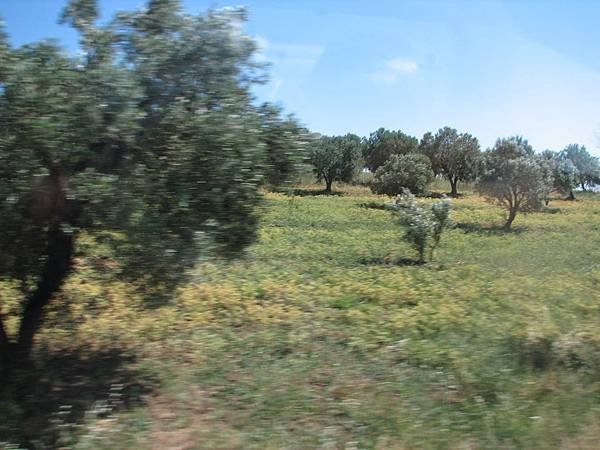 IMG_0303.JPG