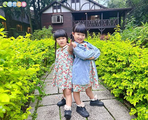 ★南投住宿推薦★ 蟬說 : 和社山林，一泊二食享受住宿森林裡