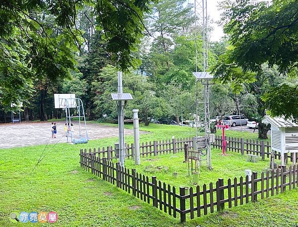 ★南投住宿推薦★ 蟬說 : 和社山林，一泊二食享受住宿森林裡
