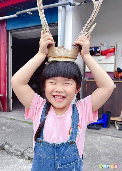 ★南投住宿推薦★ 蟬說 : 和社山林，一泊二食享受住宿森林裡