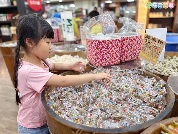 ★南投住宿推薦★ 蟬說 : 和社山林，一泊二食享受住宿森林裡