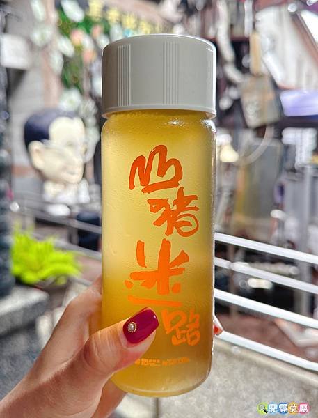 ★南投住宿推薦★ 蟬說 : 和社山林，一泊二食享受住宿森林裡