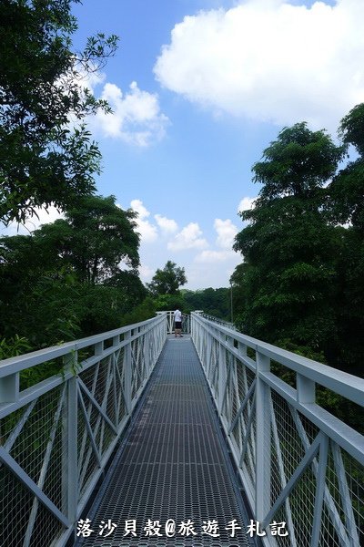 竹崎公園 (35).JPG