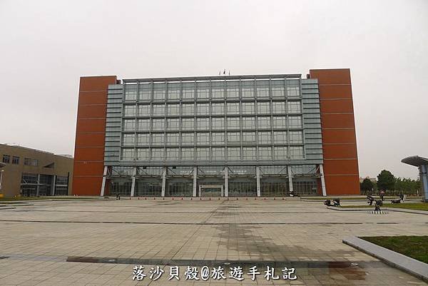 小黑狗 (1).JPG